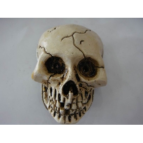 Wholesale Fashion Skull designed metal belt buckle for men 9ajn73