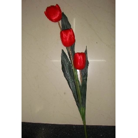 Wholesale 3pcs of flower tulip bunch fresh red  97rn14