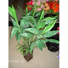 Wholesale Artificial Dracaena sanderiana potted plants 97rn25