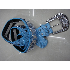 Wholesale Fashionable 2010 New Popular Style Belts Inlayed Many Diamonds