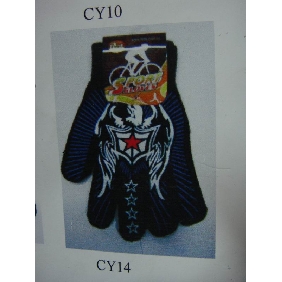 Wholesale Exquisite Looking Fashion Accessories Terylene Gloves And MIittens