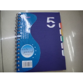 School Supplies Stationery Plastic Cover Notebooks With 5 PP Sheets