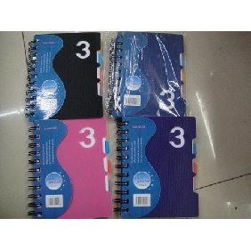 Wholesale 120 Pages Plastic Cover Notebooks With Spiral