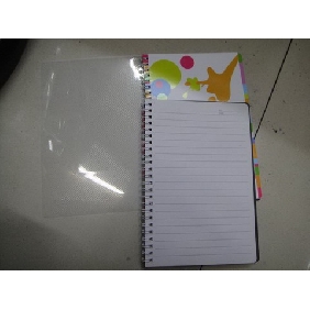 Superior Beautiful Style Students Like 60 Sheets Notebooks With PP Cover