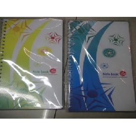 2010 Fancy PP Cover School Supplies Notebooks With 60 Sheets