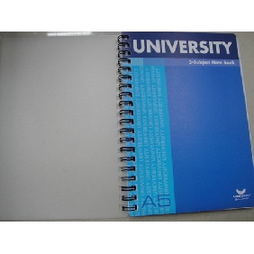 Wholesale 2010 New Hot Design College Notebooks With 75 Sheets A5
