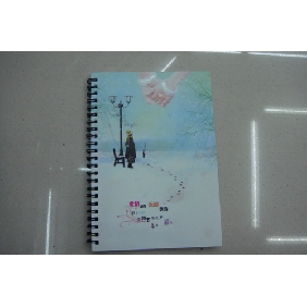 Wholesale A5 70 Sheets Diary Book With White Card Paper Attracted Girls Keep Diary