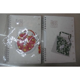 Wholesale A5 60 Sheets Spiral Diary Book With Delicate Appearance For Gift