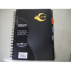 Wholesale 2010 Hot Seller Cardboard Cover School Supplies Stationery Notebook With 120 Pages