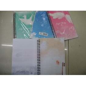 Wholesale 2010 Hot Seller 40 Pages Cardboard Cover Stationery Notebooks With Colorful Papers