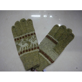 Wholesale Ladies Wool Material 2010 Fashion Design Top Sales Gloves