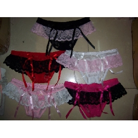 Wholesale NEW MESH BRIEFS PANTIES UNDERWEAR NWT LACE SEXY WOMEN FREE