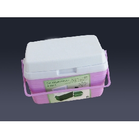 Wholesale Promotional Pink plastic food cooler ice box