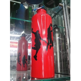Wholesale 2010 Newly Design Totally BPA Free Beautiful Promotional Aluminum Sport Drink Water Bottle, 750ml