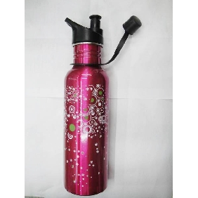 Wholesale 2010 Flash Color Totally BPA Free Beautiful Promotional Aluminum Sport Drink Water Bottle,  750ml