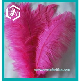 Wholesale Fuschia Hot Pink Ostrich Feather (12-14 Inches Long)