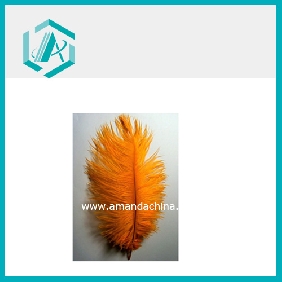 Wholesale Exquisite Orange Ostrich Feather for Holiday Decoration