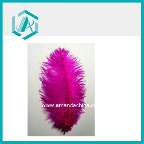 Wholesale Popular Party Supply of Hot Pink Ostrich Feather