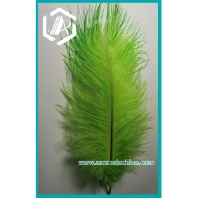 Wholesale New Green Ostrich Feather 14-16 Inches Long
