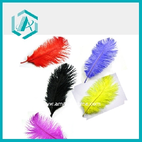 Beatiful Ostrich Feather 22-24 Inches Long