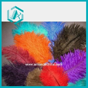 Wholesale Natural Ostrich Feather for Party Decoration 30-35 cm/ 12-14"