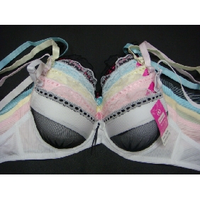 Wholesale Fashionable And Novelty Grenadine Shell FabicMatched Girl Bra