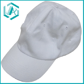 Wholesale 2010 fashion cotton baseball cap-6 panel, 100% heavy brushed