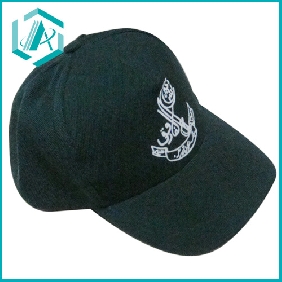Wholesale 2010 fashion cotton baseball cap-6 panel, 100% heavy cotton brushed