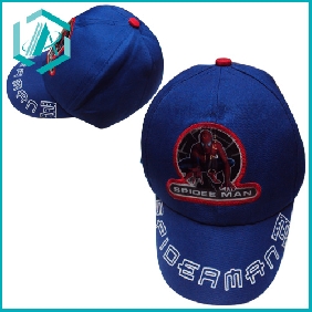 Wholesale 2010 popular embroidery Baseball cap