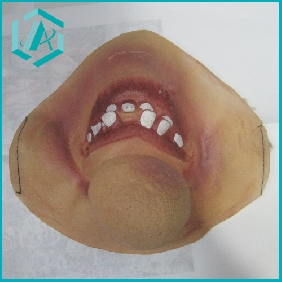 Wholesale OPP packing hot sell 2010 newest halloween party mask