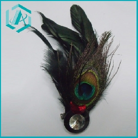 Fashionable Peacock Feather Acrylic Diamond Brooch