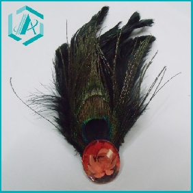 Fashionable Peacock Feather Acrylic Diamond Brooch