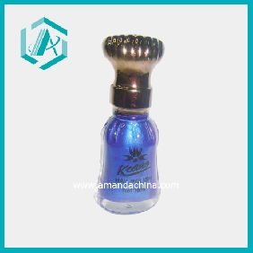 Wholesale charming colorful ladies' daily use nail polish