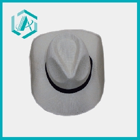 Wholesale Fashion hat popular cowboy paper straw hat