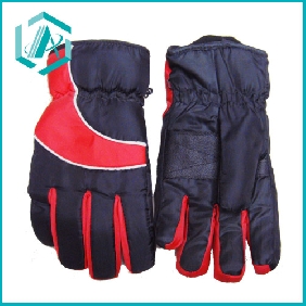 Wholesale men's windstopper gloves in cold season