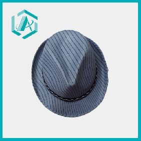 Wholesale 2011 NEW design light blue stripes handsome hat for gentleman