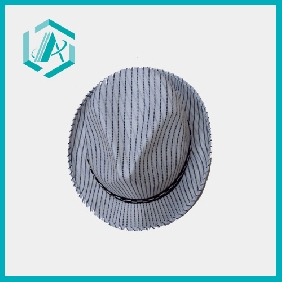 Wholesale NEW arrival light purple stripes hat fashion style