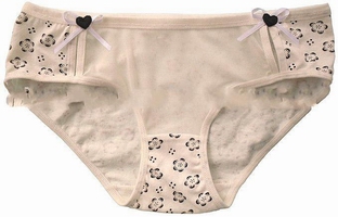 Wholesale Women's sexy style Anti-Bacterial Cotton underwear,slimming clothes
