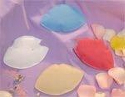 unique design Fashion Non-Absorbent silicone Adjustable comfortable bra insert