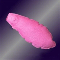 Wholesale NEW arrival lady inflatable push-up bra pads, light and adjustable