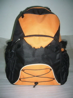 Wholesale 2010 canvas economical roomy Stocking Backpack