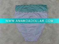 2010 ladies lingerie
