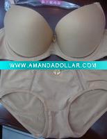 bra.panty.lingerie.garment