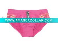 Wholesale ladies seamless briefs,boxer