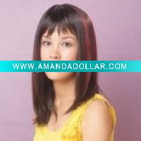 Wholesale fashionable braided wigs