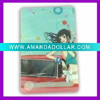2010 fashion card pocket