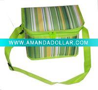 Can cooler bag