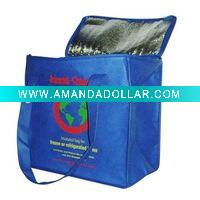 Cooler bag