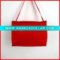 2011 Practical Cooler Bag
