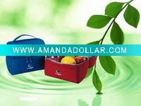 Wholesale hot! cooler bag NWB348